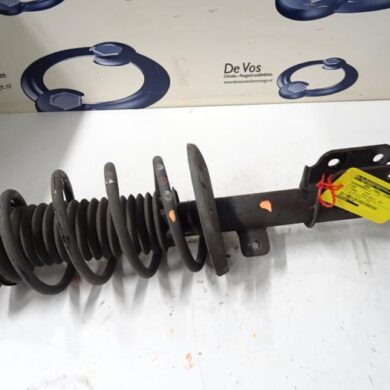 Citroen C4 Picasso  Schokdemperpoot links-voor 2014 9810920580-1628564380