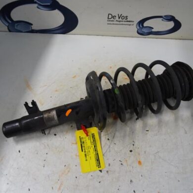 Citroen C3  Front shock absorber rod, right 2017 9811371180
