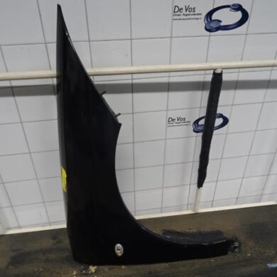 Citroen C6  Scherm rechts-voor 2007 7841S0