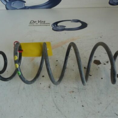 Citroen C4 Picasso  Schroefveer achter 2016 9805385380