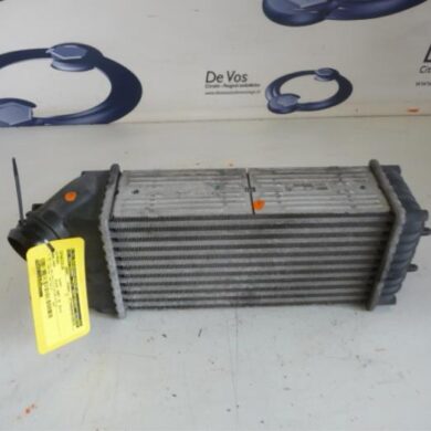 Citroen Berlingo 1.6 HDI 16V 75 Intercooler 9HW 2007 0384G5
