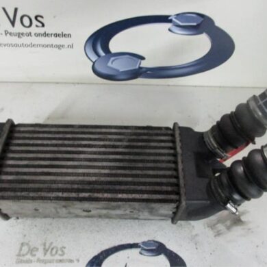 Citroen Picasso  Intercooler GHX-9HX 2005 0384G5
