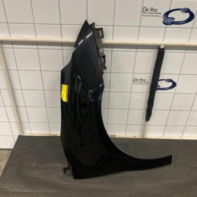 Citroen C4 1.4 16V Scherm rechts-voor 2006 7841S2