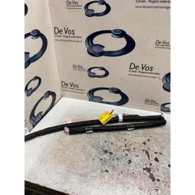 Peugeot 3008  Roof curtain airbag 2018 9811504680