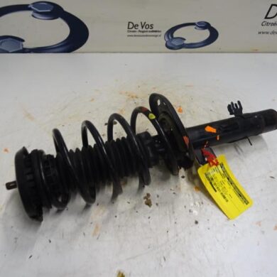 Peugeot 2008  Front shock absorber rod, left 2017 9820326180