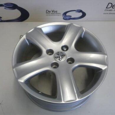 Peugeot 307  Wheel 2004 5402E4