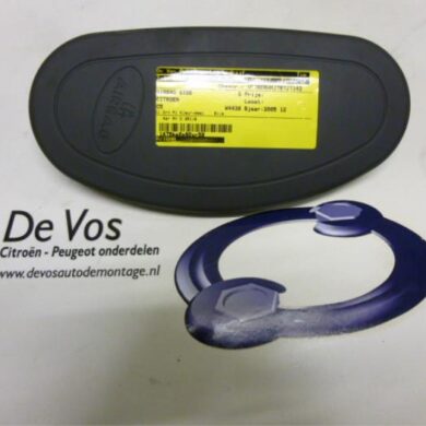 Citroen C5  Side Airbag 2005 8216HA