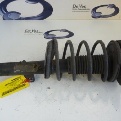 Peugeot 206 1.4 16V Front shock absorber rod, right 2004 5202NG