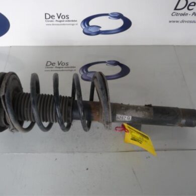 Peugeot 206 1.6 16V Front shock absorber rod, left 2005 5202NF