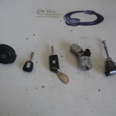 Peugeot 308  Set of cylinder locks (complete) 2008 4162SS