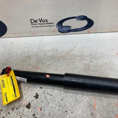 Peugeot 3008  Stoßdämpfer links hinten 2021 9824958980