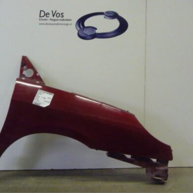 Peugeot 807 2.0 HDi 16V Scherm rechts-voor 2004 7841P0