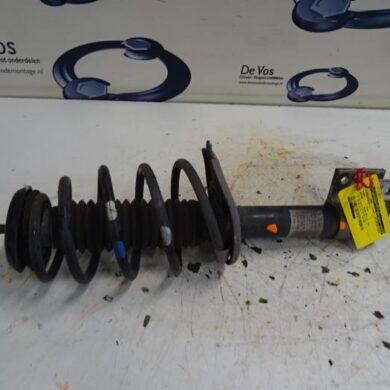 Peugeot Partner  Front shock absorber rod, left 2011 5208X5-520881