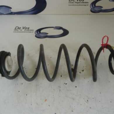 Citroen C4 Picasso  Schroefveer achter 2015 9804027980