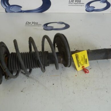 Peugeot 206 1.4 XR,XS,XT,Gentry Front shock absorber rod, left 2001 5202LS