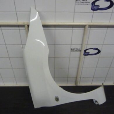 Peugeot 307  Scherm rechts-voor 2007 7841T2