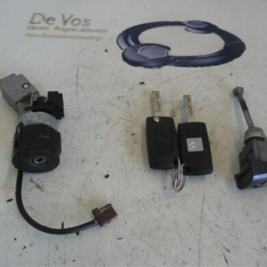 Citroen C4 Picasso  Slotenset Cilinder (compleet) 2008 4162KC