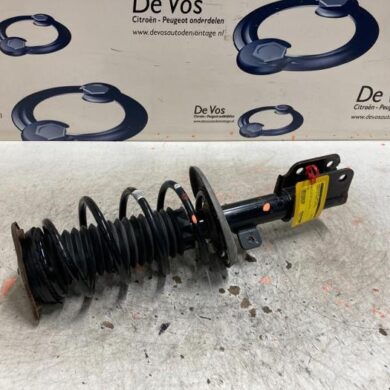 Citroen C4 Picasso  Front shock absorber rod, left 2019 1628564380