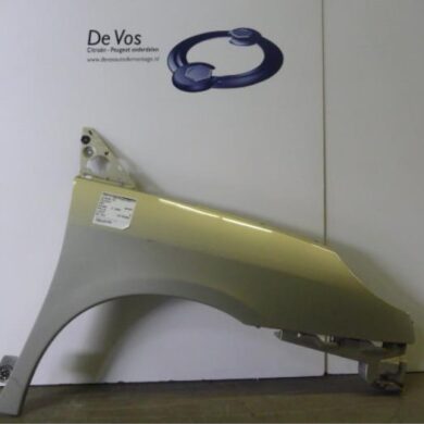 Peugeot 807 2.0 HDi 16V Scherm rechts-voor 2004 7841P0