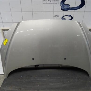 Peugeot 308  Bonnet 2009 7901P6