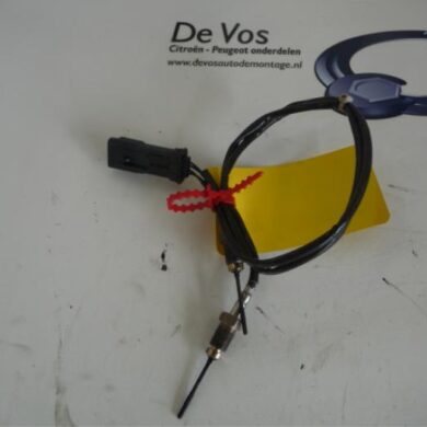 Peugeot 508  Sensor (overige) 2014 9807562780