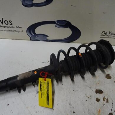 Peugeot 1007  Front shock absorber rod, right 2007 5202PX-1638077380