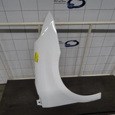 Citroen C4  Scherm rechts-voor 2008 7841S2