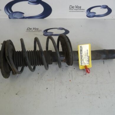 Peugeot 206 1.4 XR,XS,XT,Gentry Front shock absorber rod, right 2001 5202LT