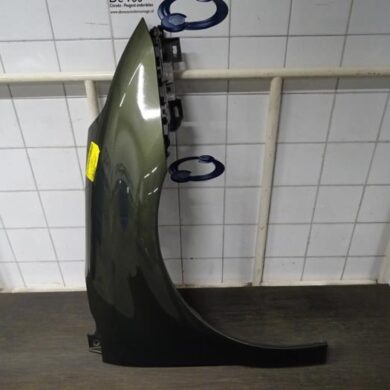 Citroen C4 1.6 HDi 16V 110 Scherm rechts-voor 2006 7841S2