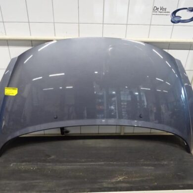 Peugeot 207  Bonnet 2009 7901N2
