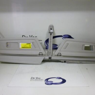 Citroen C4 Picasso 2.0 HDiF 16V 135 Zonneklep 2008 8143XC-8154KA