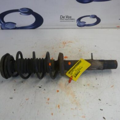 Citroen C2  Front shock absorber rod, left 2007 5202TE