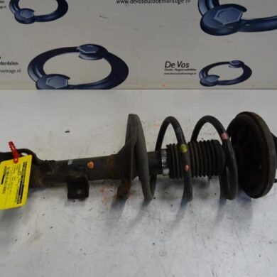 Citroen C4 Aircross  Front shock absorber rod, left 2012 1607498180