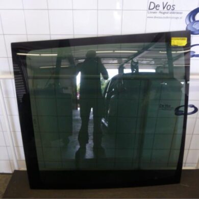 Citroen C4 Picasso  Schuifdak 2009 8701QG