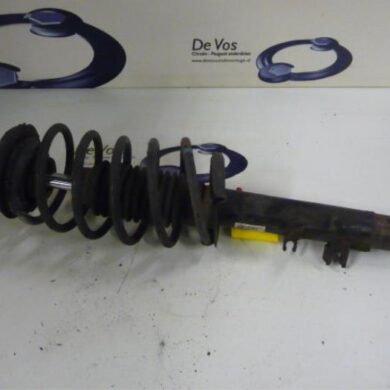 Citroen Pluriel  Front shock absorber rod, right 2004 5202KA