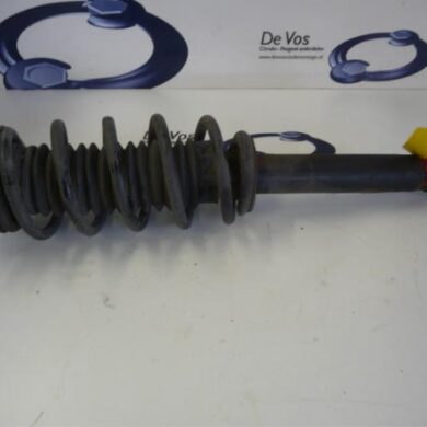 Peugeot 407  Front shock absorber rod, right 2006 5202PC