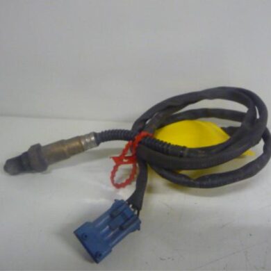 Citroen Picasso  Lambda Sonde RFN 2005 1628HV