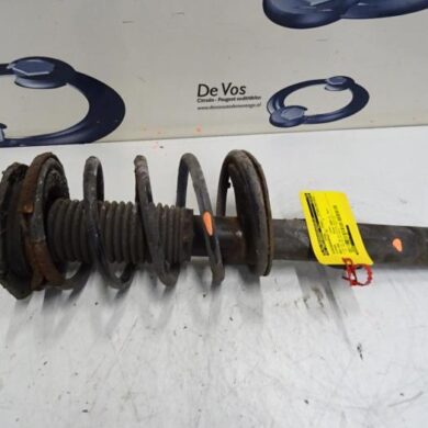 Citroen Berlingo 1.9 D Schokdemperpoot rechts-voor 2004 5202GH