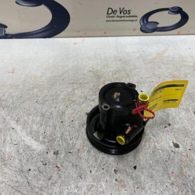 Citroen C5 3.0 V6 24V Power steering pump XFX 2002 40078A