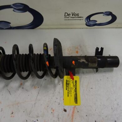 Citroen C3  Front shock absorber rod, left 2010 5208G0