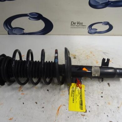 Peugeot 208  Front shock absorber rod, left 2016 9804831180