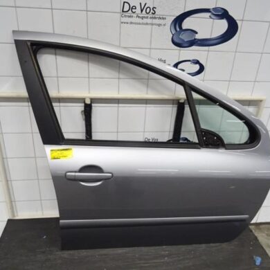 Peugeot 307 1.6 16V Tür 4-türig rechts vorne 2005 9004S7