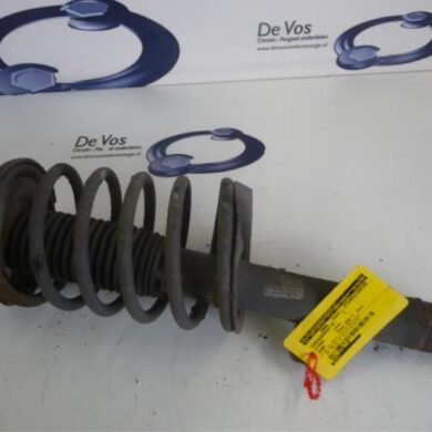 Citroen Xsara 1.6i 16V Schokdemperpoot rechts-voor 2002 5202CJ