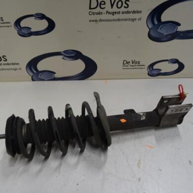 Peugeot 3008  Front shock absorber rod, left 2013 5208G2-1623342880