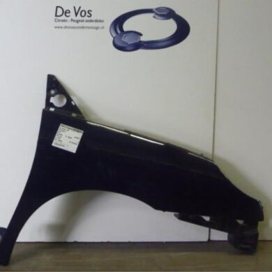 Peugeot 807 2.0 HDi 16V 136 FAP Scherm rechts-voor 2006 7841P0