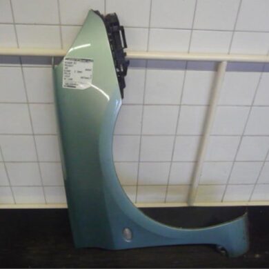 Peugeot 307 1.6 16V Scherm rechts-voor 2003 7841N7