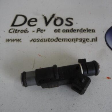 Peugeot 307  Injector (petrol injection) RFN 2004 1984E2