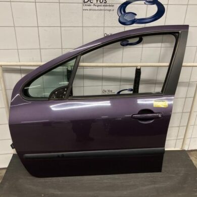 Peugeot 307 1.6 16V Tür 4-türig links vorne 2004 9002S8