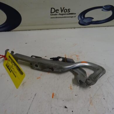 Peugeot 207  Bonnet Hinge 2007 791298