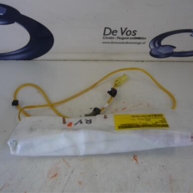Peugeot iOn  Side Airbag 2011